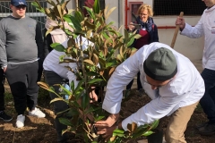 Piantumazione albero di magnolia donato all'Istituto dall'Associazione Cuochi di Capitanata Gargano