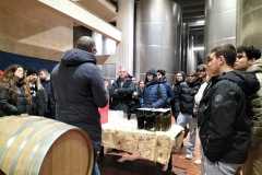Visita alle Cantine Teanum di San Severo