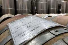 Visita alle Cantine Teanum di San Severo