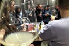 Visita alle Cantine Teanum di San Severo