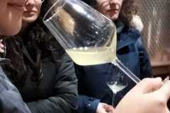 Visita alle Cantine Teanum di San Severo