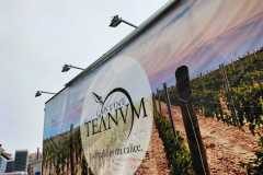 Visita alle Cantine Teanum di San Severo