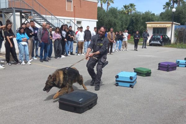 20230518_guardia_finanza_06