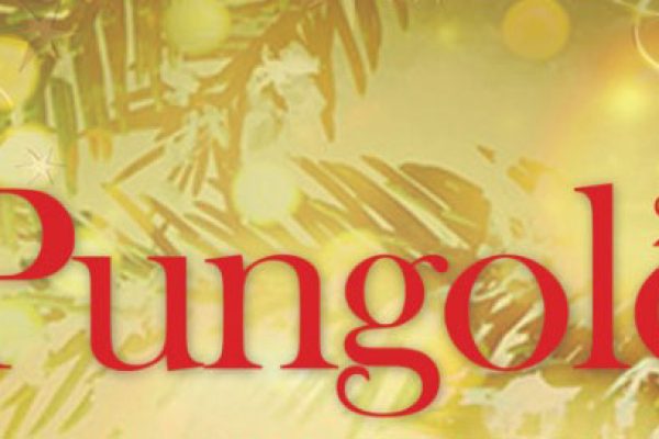 testata_pungolo
