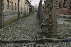 Giornata della memoria - Auschwitz, 27 gennaio 2020